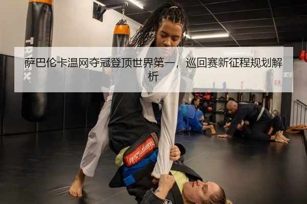 sa-ba-lun-ka-wen-wang-duo-guan-deng-ding-shi-jie-di-yi-xun-hui-sai-xin-zheng-cheng-gui-hua-jie-xi-2-490.jpg